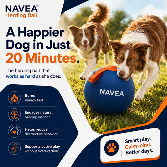 Navea Giant Herding Ball